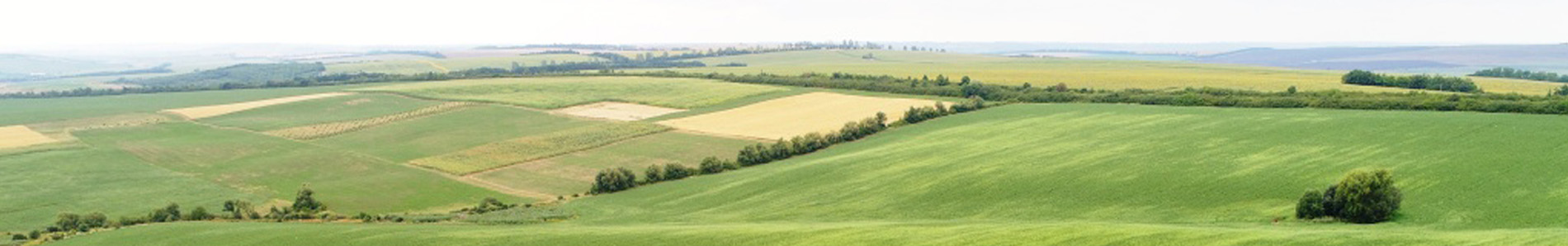 ABC Tractors Banner